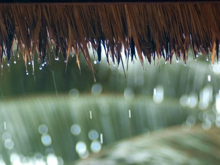 Saison des Pluies